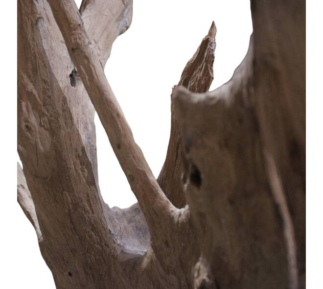 Root teak wood 70x50x155cm