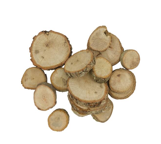 Bundle wood slices 250gr oak wood 10x5x21cm