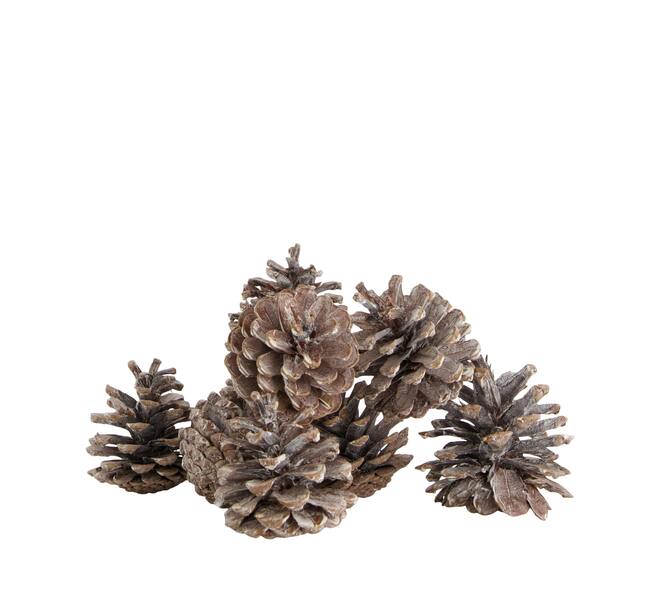 Pinecone 200gr nature 29x17x5.5cm