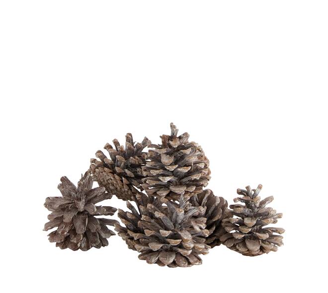 Pinecone 200gr nature 29x17x5.5cm