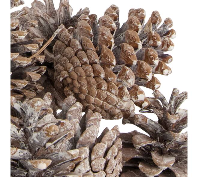 Pinecone 200gr nature 29x17x5.5cm