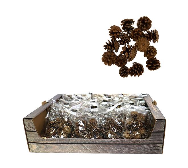 Display 200gr pinecone 29x17x5.5cm