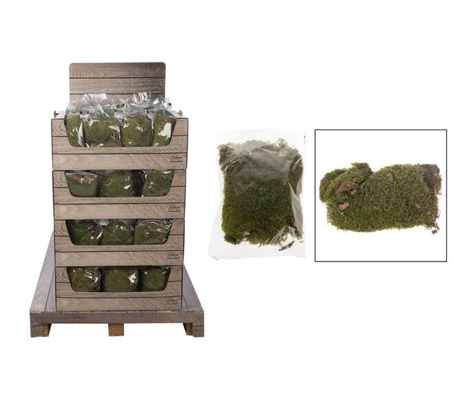 Moss flat 100gr nature 35x23x35cm