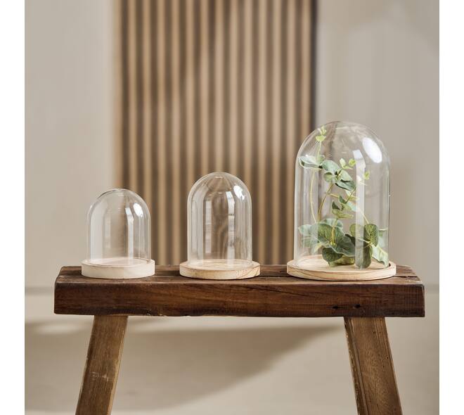 Bell round with paulownia wood base glass 17x17x25cm