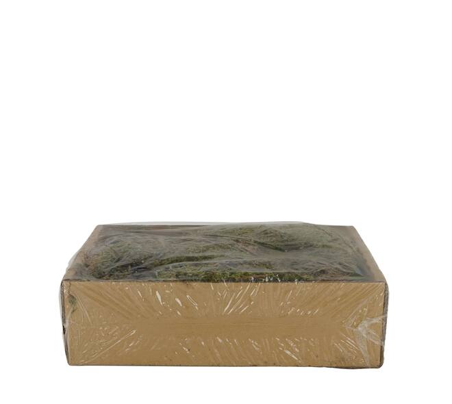 Moss flat 150gr box nature 30x19x9cm
