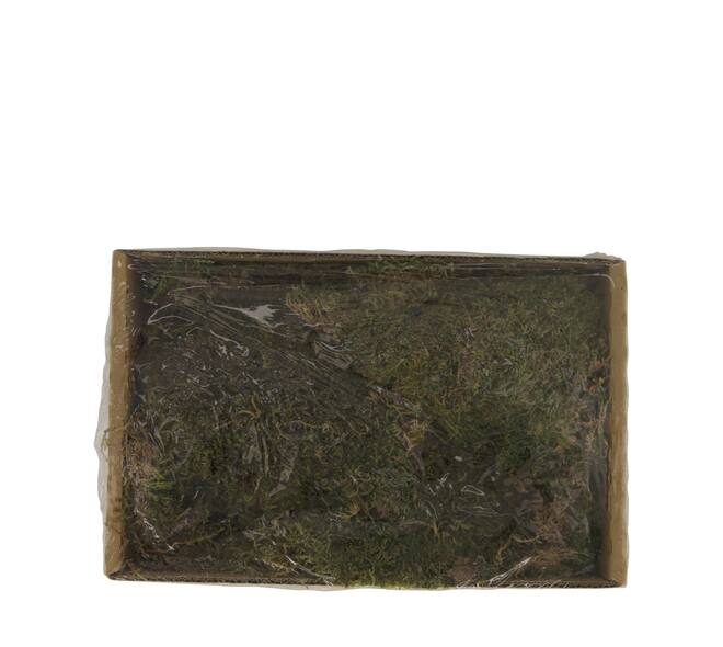 Moss flat 150gr box nature 30x19x9cm