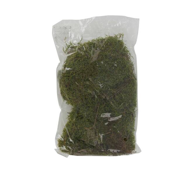 Moss flat 100gr nature 33x17x6cm