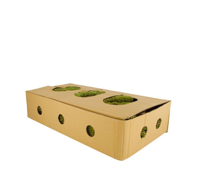 Moss flat 1kg in box nature 58x30x13cm