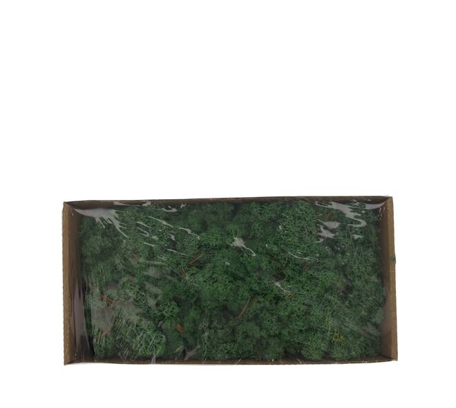 Moss 500gr nature 48x35x24cm