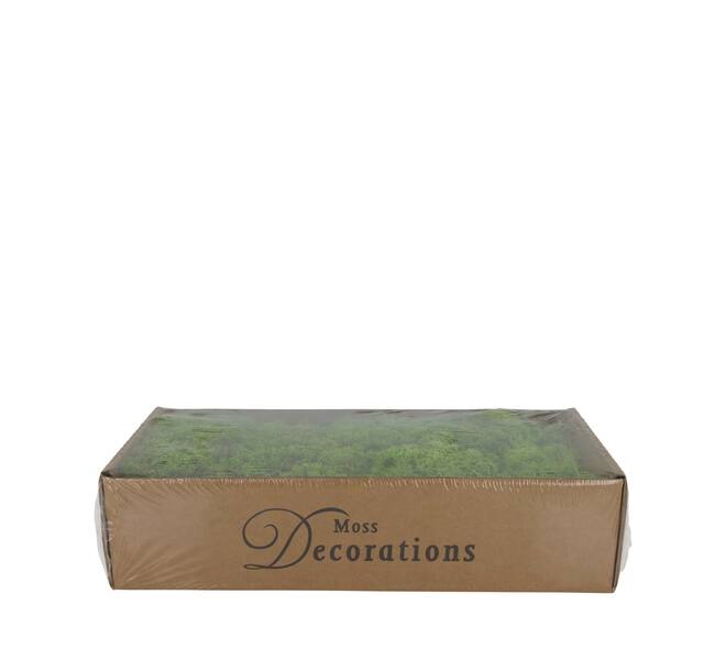 Mousse - 500gr - Naturel - 48x35x24cm - Vert