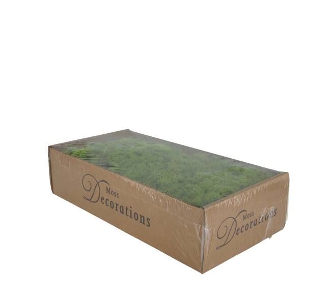 Mousse - 500gr - Naturel - 48x35x24cm - Vert
