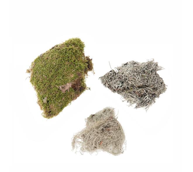 Moss mix 100gr nature 30x21x9cm