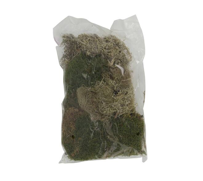 Moss mix 100gr nature 30x21x9cm