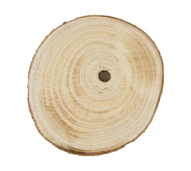 Slice round paulownia wood 20x20x3cm - Natural
