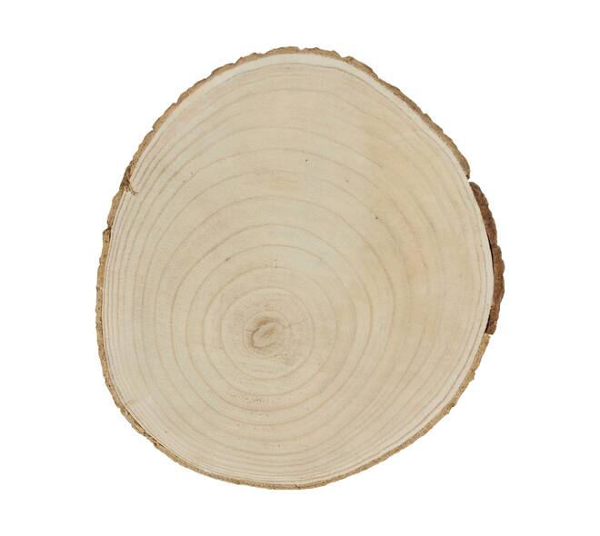 Slice round paulownia wood 30x30x3cm - Natural