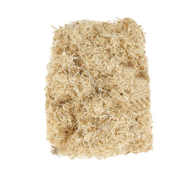 Moss curly 500gr nature 10x7x21cm - White