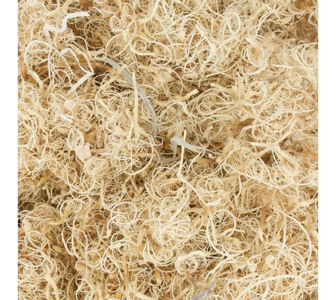 Moss curly 500gr nature 10x7x21cm - White
