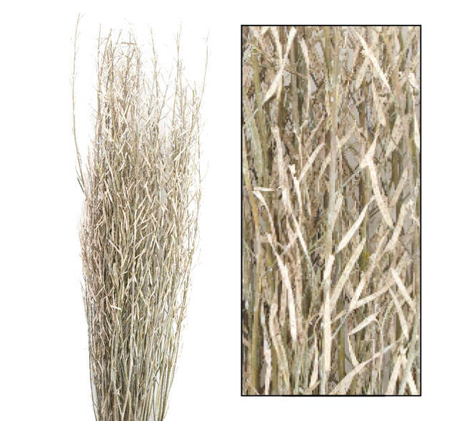 Saras branch 110cm 100gr - Green
