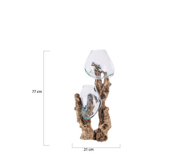 Root gamal wood with glass 21x20x77cm