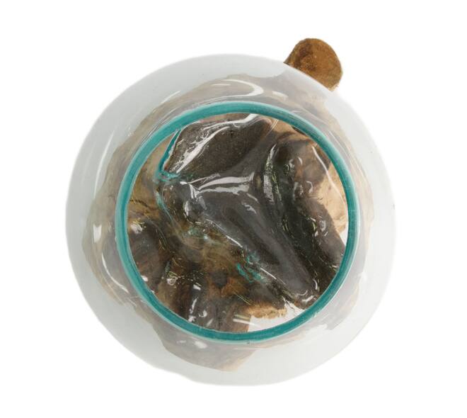 Root teak wood with glass 20x20x20cm - Natural