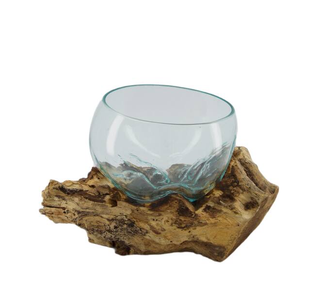 Root gamal wood with glass 33x23x18cm