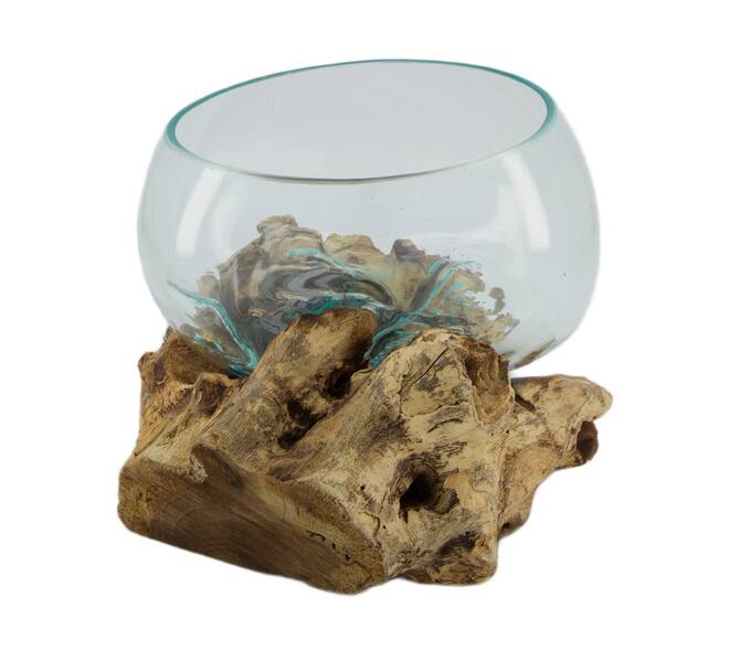 Root gamal wood with glass 33x23x18cm