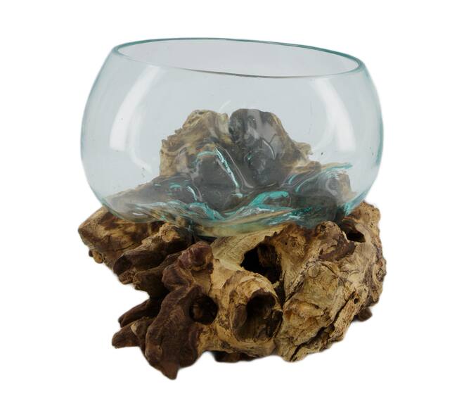 Root gamal wood with glass 33x23x18cm