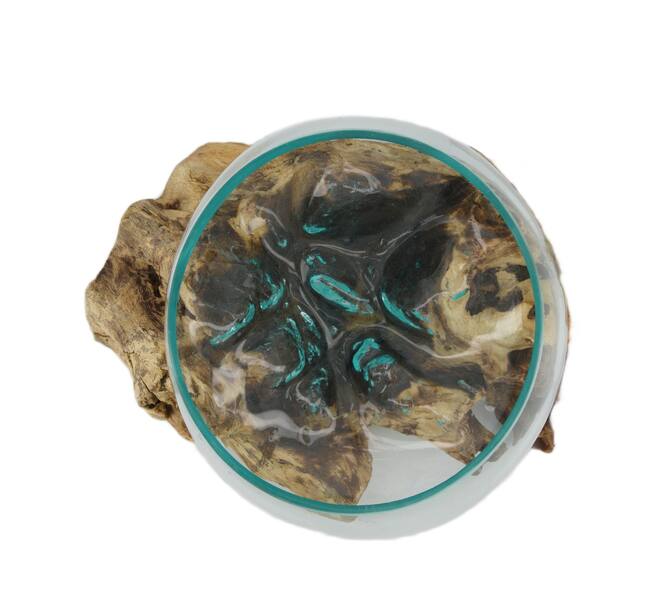 Root gamal wood with glass 33x23x18cm