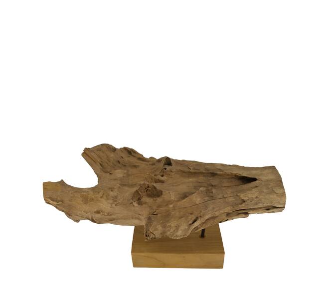 Root teak wood on stand 58x14x30cm