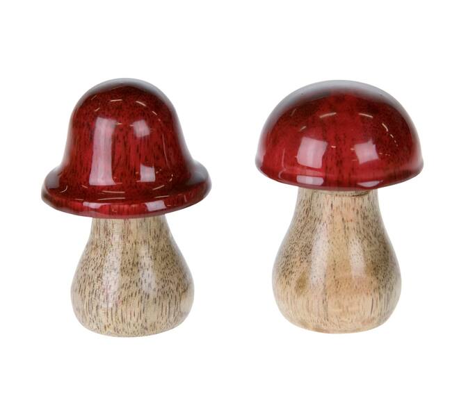 Mushroom mango wood 5x5x7cm 5cm  - Multi