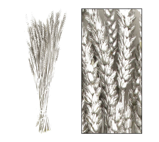 Bunch triticum nature 70x10x5cm