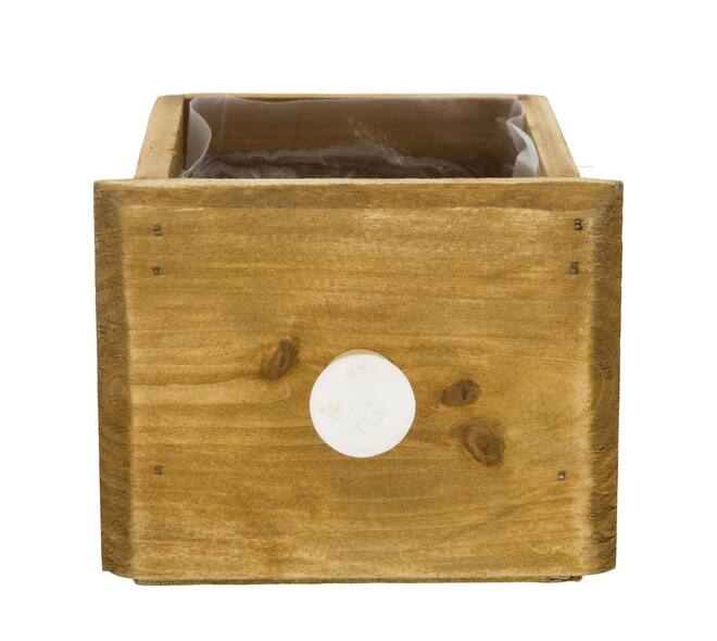 Box planter rectangular fir wood with plastic 12x10x9cm - Natural