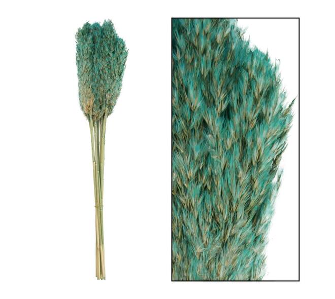 Wild reed plume Vinz nature 75cm 10pc