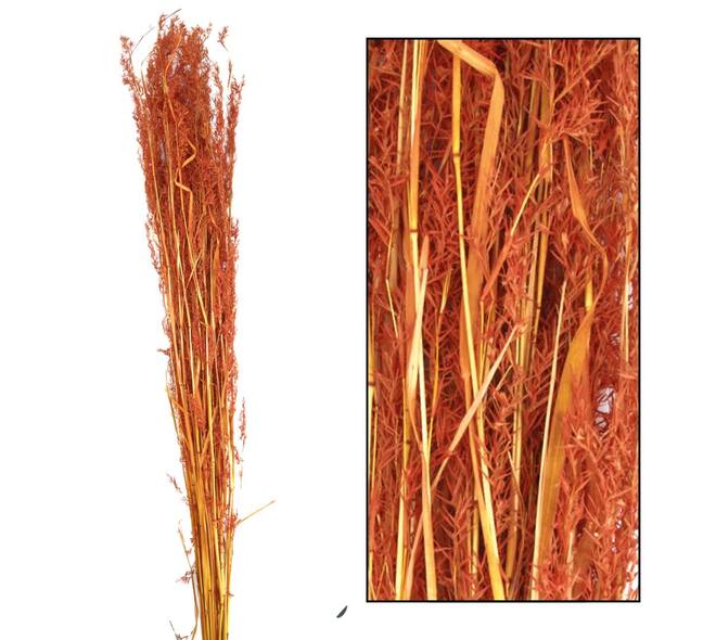 Alfonso grass nature 100cm 100gr
