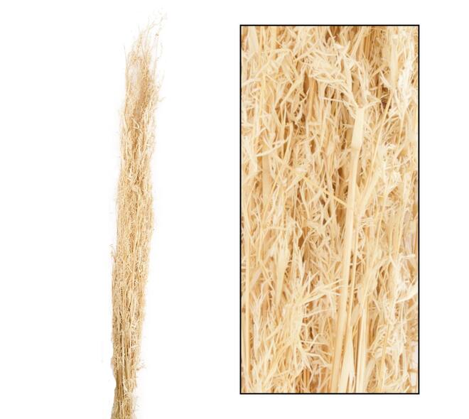 Alfonso grass nature 100cm 100gr
