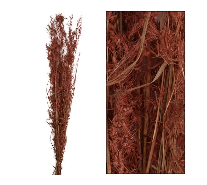 Alfonso grass nature 100cm 100gr