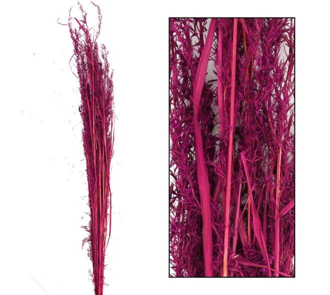 Alfonso grass nature 100cm 100gr - Red