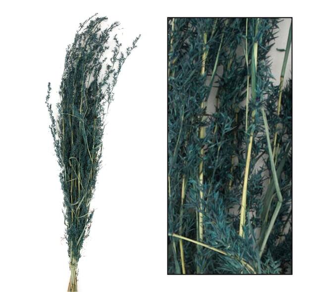 Alfonso grass nature 100gr