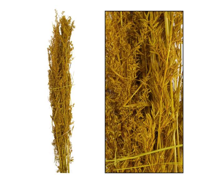 Alfonso grass nature 100cm 100gr - Yellow
