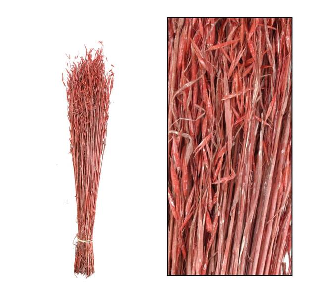 Oat grass nature 60-65cm 100gr
