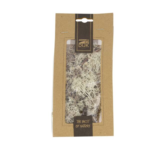 Moss 40gr nature 10x4x22cm