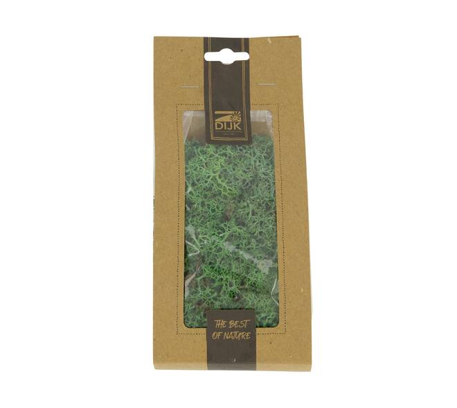 Mousse - Mousse de renne - 40gr - Naturel - 10x4x22cm - Vert