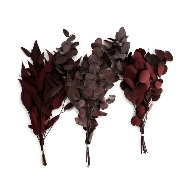 Eucalyptus bunch mix 55gr 1bunch mix box A/3