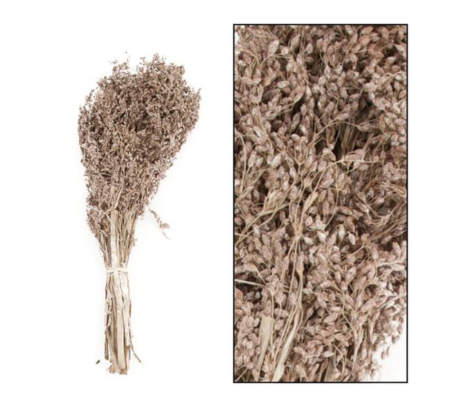 Aloha grass 45-55cm 100gr - White