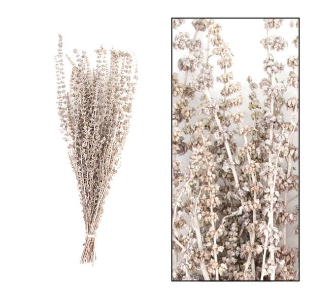 Palma grass nature 50-65cm 100gr - White