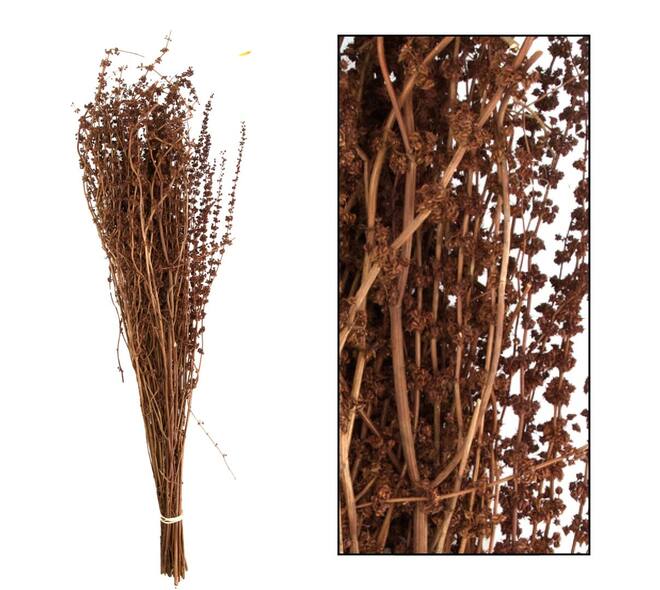 Palma grass nature 50-65cm 100gr