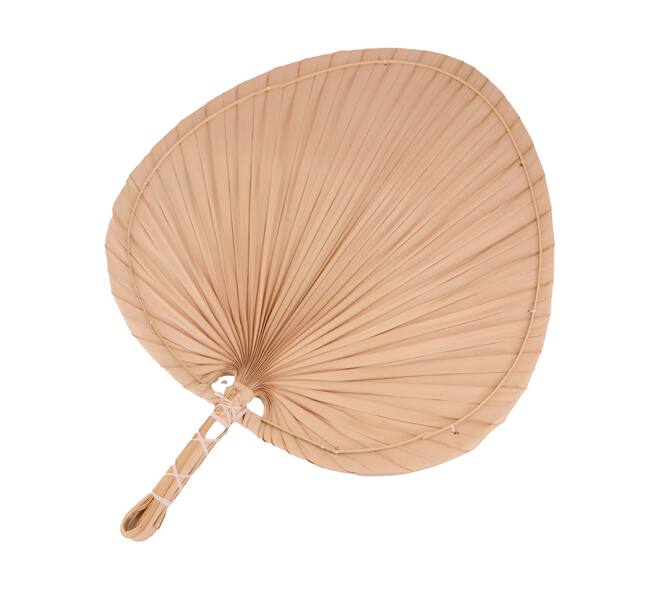 Fan palm leaf M 36x2x48cm - Natural