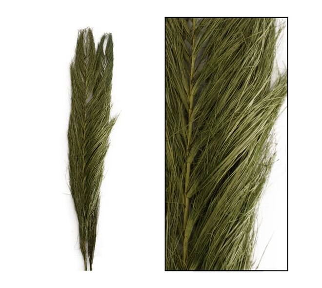 Jhat grass 90-100cm 100gr - Green