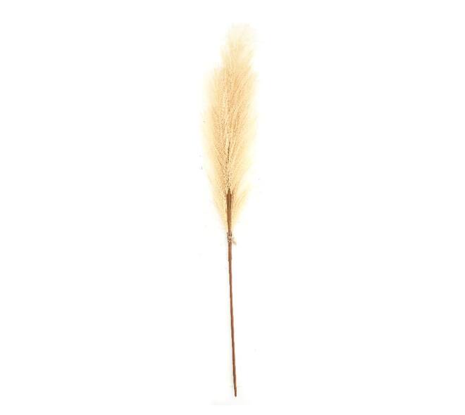 Plume artificial 77x8x3cm - White