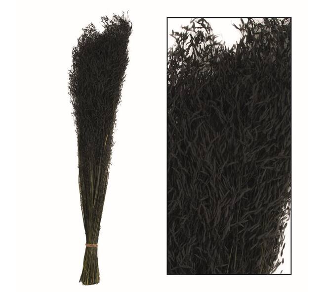 Munni grass 60-70cm 90-100gr - Black